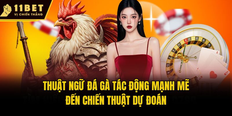 Thuật Ngữ Đá Gà 11bet Phổ Biến Nhất 2025 Dành Cho Hội Viên 3 Thuật ngữ đá gà tác động mạnh mẽ đến chiến thuật dự đoán